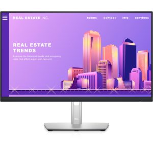 Dell P2422H - 24 Inch FHD Monitor